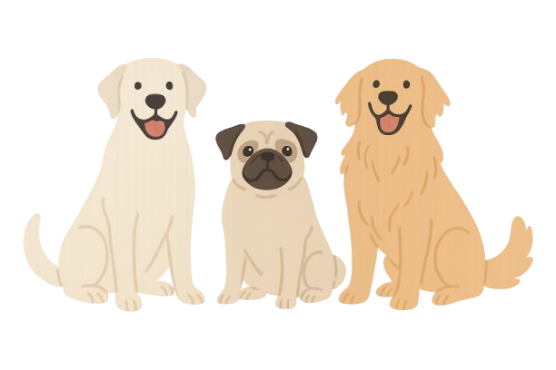 Glada hundar redo att jämföra försäkringar